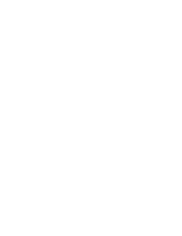 ZodAi Logo